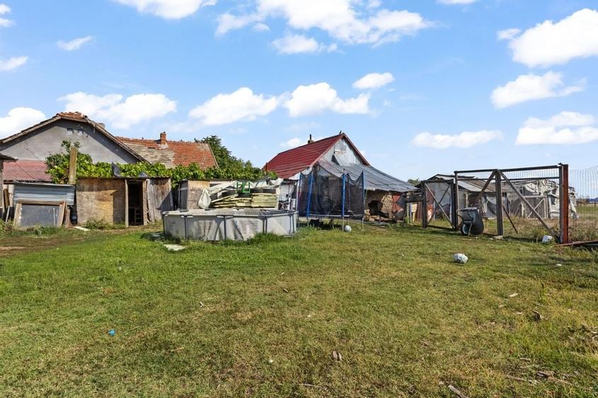 Casă de vânzare cu 5 camere- Nădab, oraș Chișineu-Criș, județul Arad. - 14