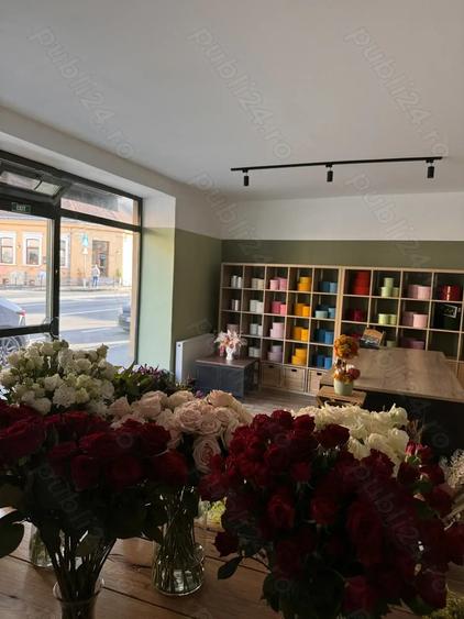 Florarie de vanzare Brasov - 2