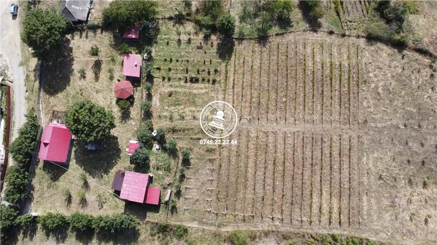 Teren pentru constructii case de vanzare Iasi, Mogosesti, - 2