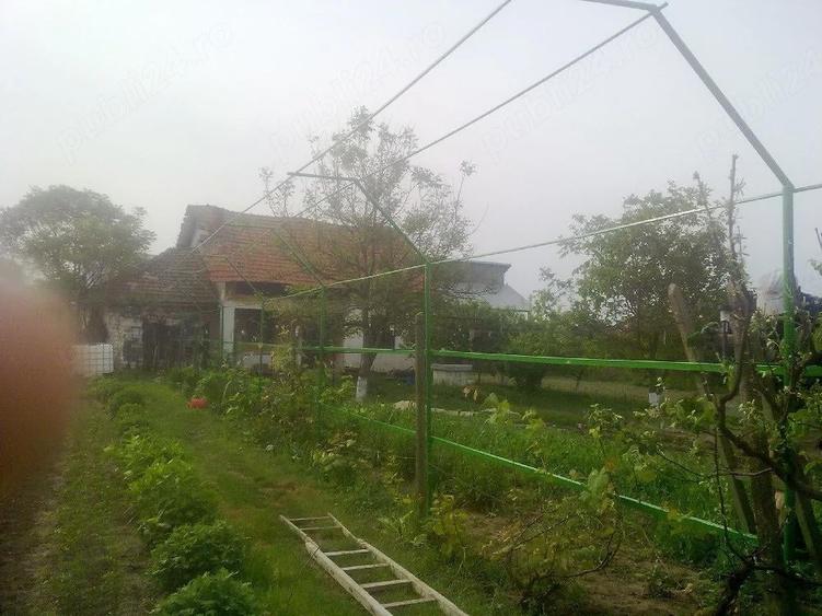 Teren intravilan - 2