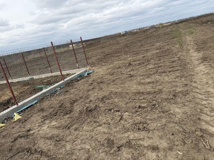 Vand vatra de casa - 2