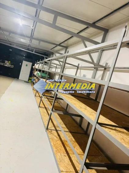 Hala 600 mp de inchiriat in zona Sebes cu birouri teren 2000 mp - 3