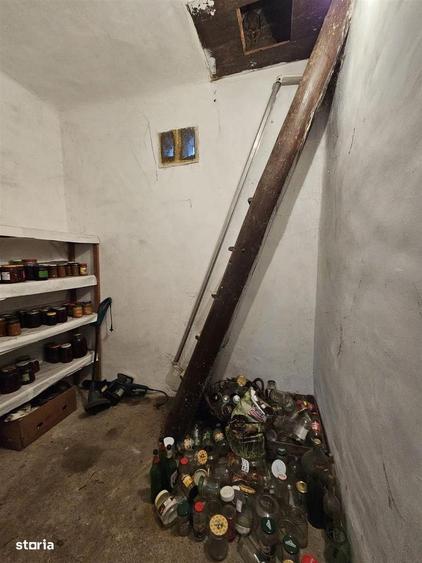 Casa Uileacu de Cris - 11