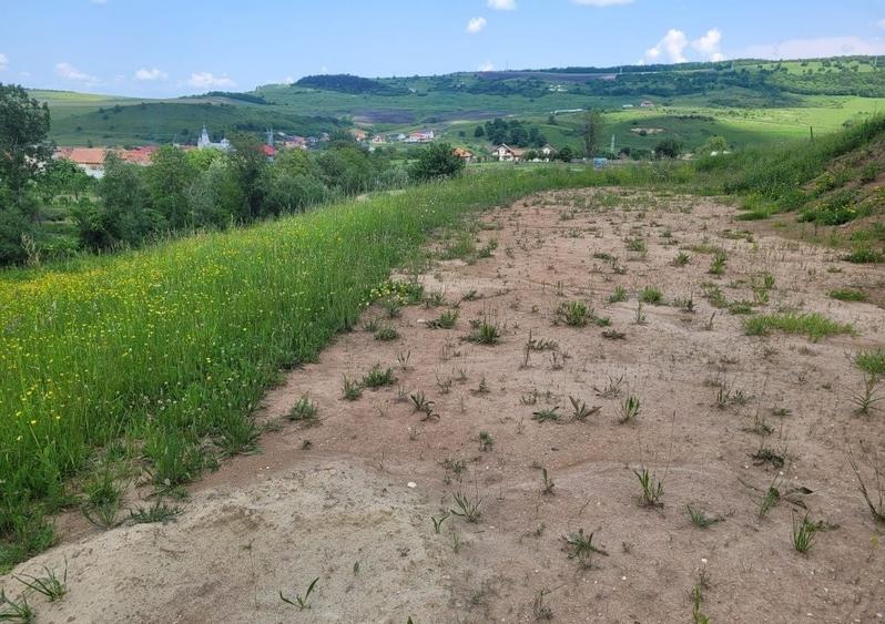 Teren Autorizat Construire Casa - 4