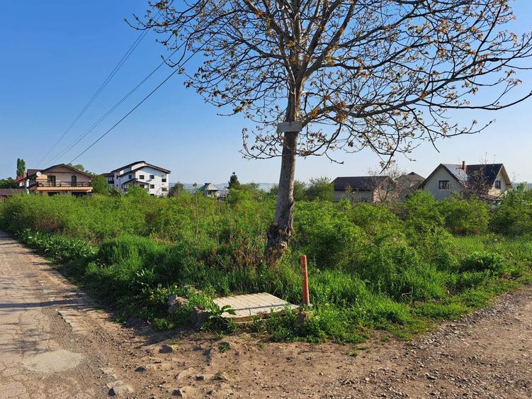 Teren de vanzare 2607 mp Visan, com. Barnova, langa Ville Toscana - 4