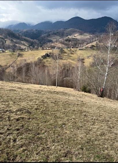Vanzare Teren cu Punct de Belvedere in Moieciu zona Magura-Pestera - 14