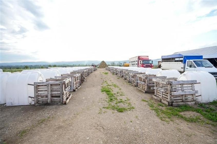 Film&Tur! Domeniu pe 222.000mp+ Ferma +Anexe specifice+Constructie+
rezidential - 41