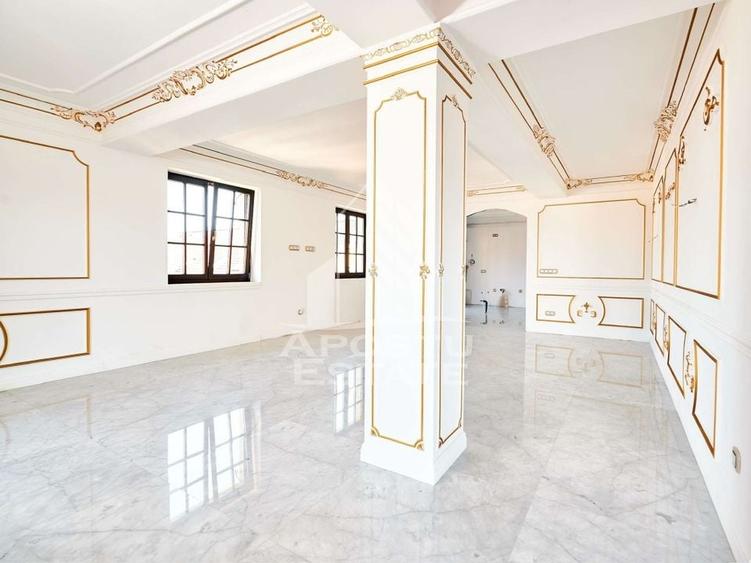 Apartament deosebit cu 5 camere in zona Mehala - 10