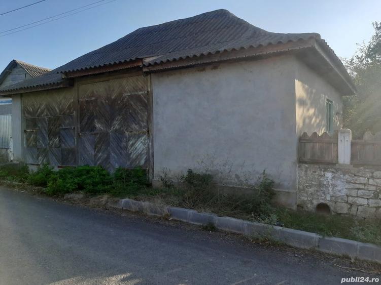 Casa cu teren intravilan Enisala 3590 mp - 10