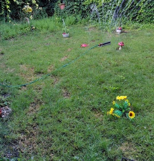 Casa locuibila zona kaufland - 16