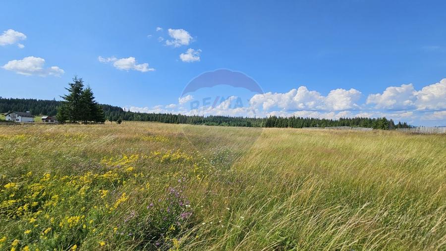 Teren partial intravilan 30,930 mp Poiana Stampei-DN E58, Suceava - 17