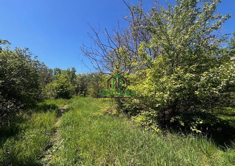 Teren intravilan/934 mp/Lenin Sud - 5