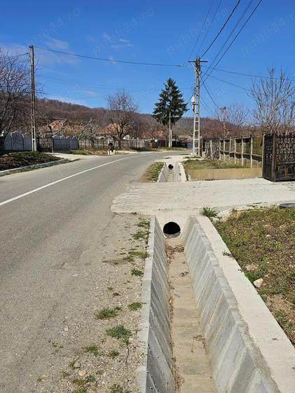 CASA cu LIVADA incepe o noua afacere sau conecteaza-te cu natura!!! - 6