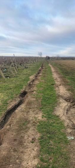 Teren en Slobozia Bradului de 12.600 mp intravilan,intabulat - 2