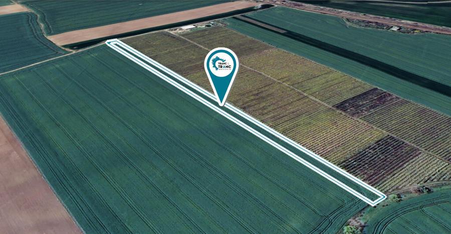 Teren agricol de 1 ha in Zimandu Nou - 1