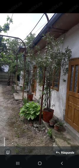 Casa centru Daneti, 80mp, curte si gradina 3.000 mp, apa + curent - 7