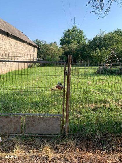 Vant teren Curtea de Arges - 5