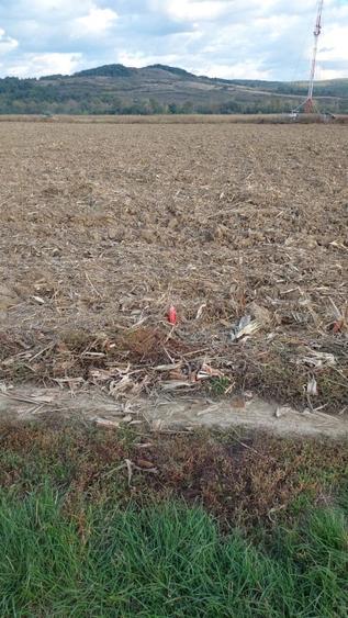 Vand teren intravilan Bacia - 5