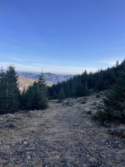 Teren de vanzare - 3