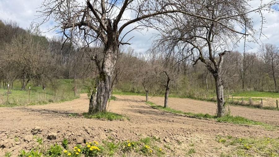 Conac traditional / Casa de vacanta in Maldaresti (Horezu) | 3500mp teren | Ideal Investitie - 6