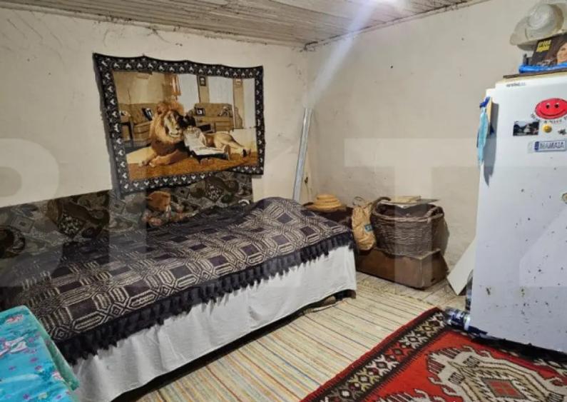 Casa rustica de vacanta (62mp) in sat Magura cu 1000mp teren - 10