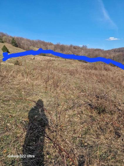 VAND TEREN extravilan, in zona de munte, cu priveliste minunata in comuna BLAJENI, HD. - 6