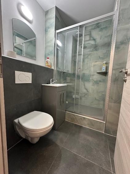 Apartament 3 camere , recent renovat si mobilat Podu Rosu - 4