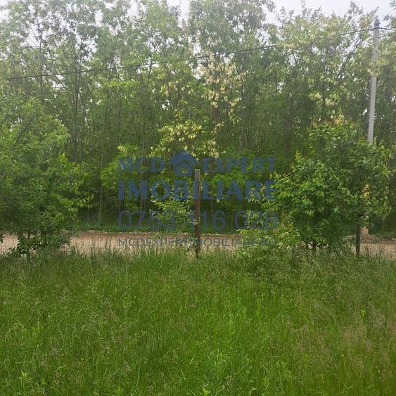 De vanzare: Casa in sat Humule?ti Noi, Targu Neam? - 5