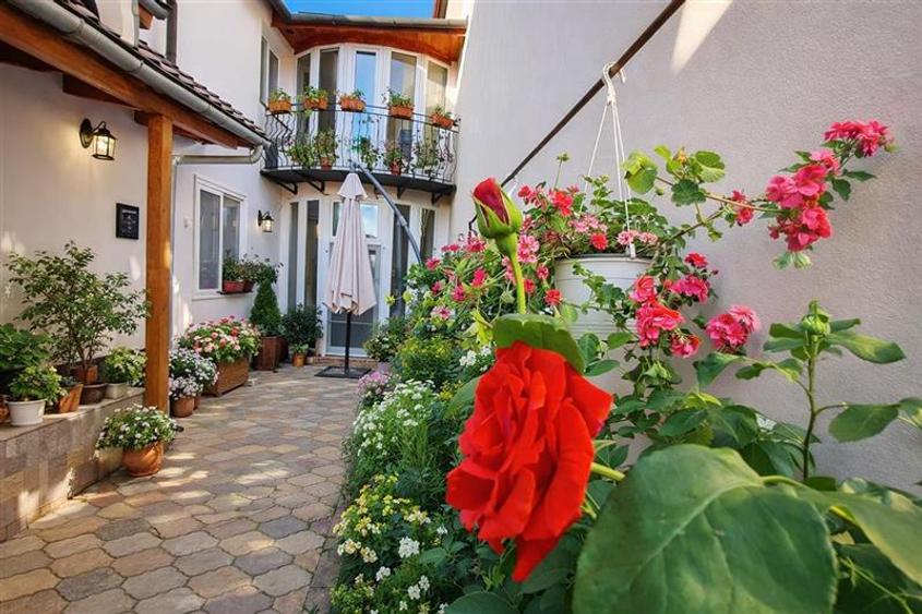 Pe incantare florala, casa cu 5 camere, curte individuala - Central, Brasov - 1