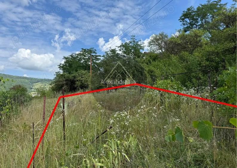 Teren Wewern, Medias