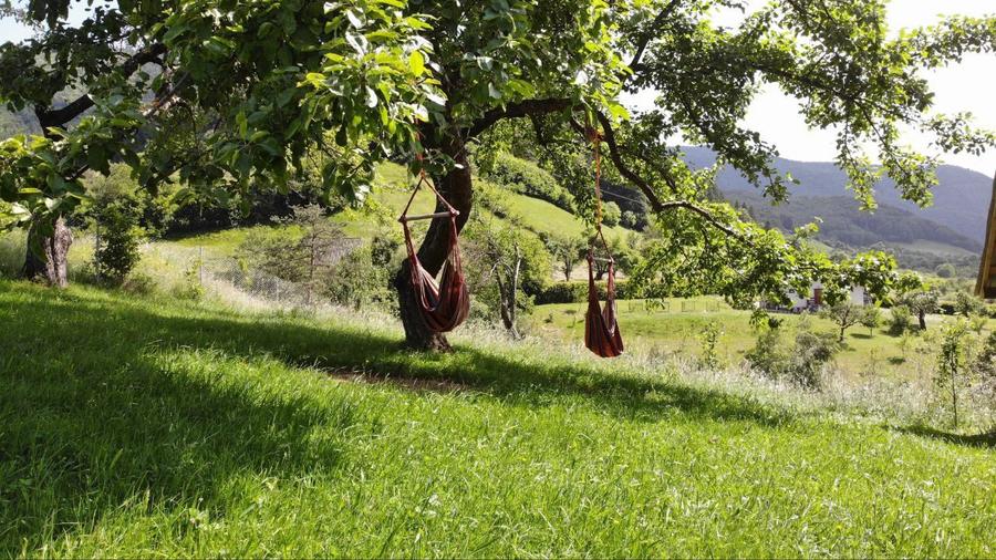 Casa Muntilor Prejba Rau Sadului Se afla in Rau Sadului Judetul Sibiu - 3