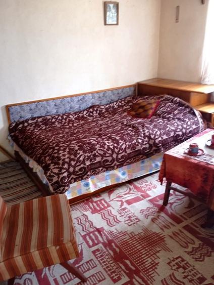 Casa batraneasca si teren Malul cu Flori - 4