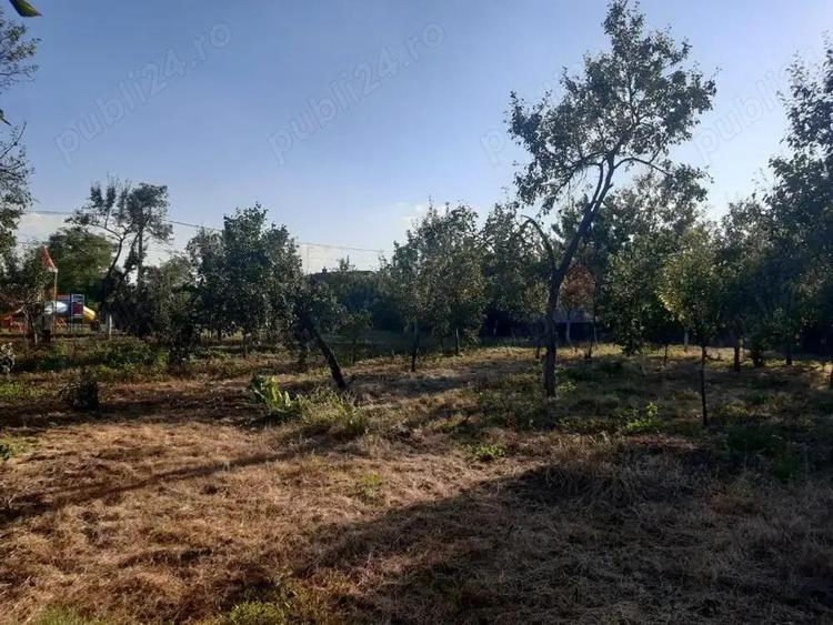 Casa Beregsau Mic caramida strada principala ,teren mare - 10