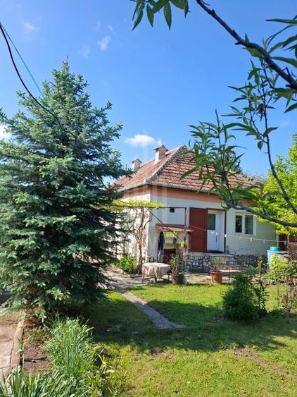 Casă cu două corpuri de clădire și teren generos – sat Boarta, județul Sibiu - 13