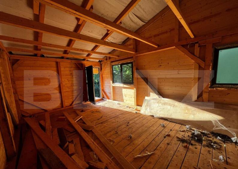 ????Cabana de Vis in Inima Naturii Investi?ia Perfect? - 13