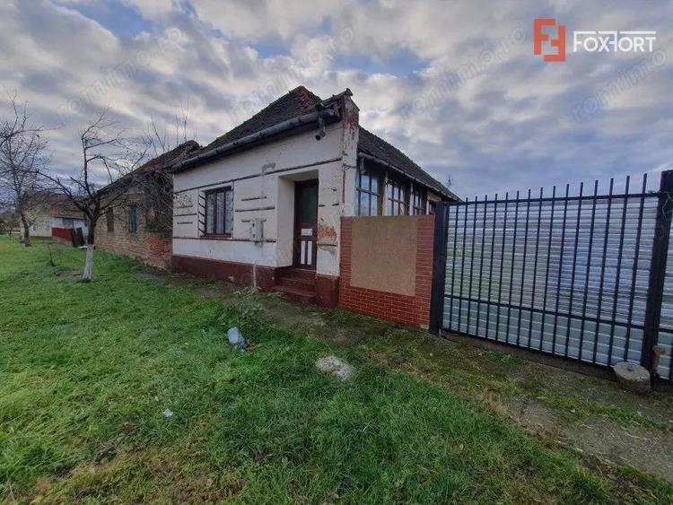 Teren intravilan de 1300 mp, Asfalt - Jebel - 8