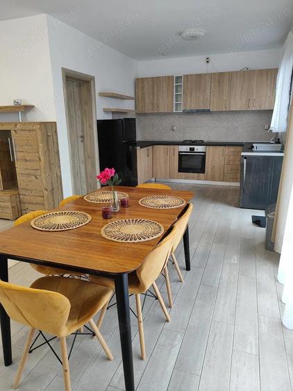 Inchiriere vila Saftica - 6