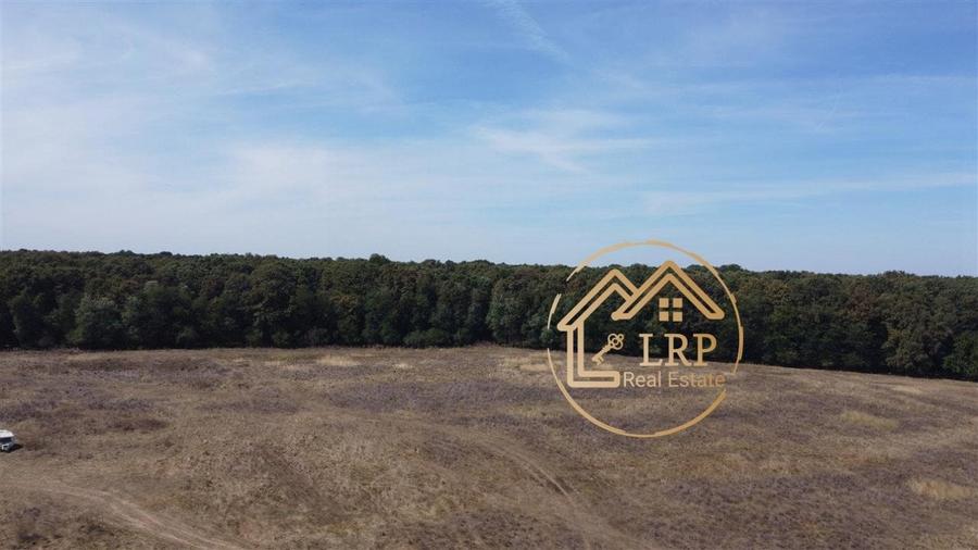 Teren Voluntari-Pipera | 3.700mp | Zona Padure & Școli Internationale - 9