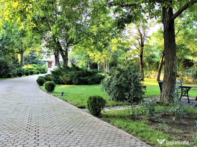 Buftea teren superb 800 mp lotizare posibila + AConstruire P+E - 8