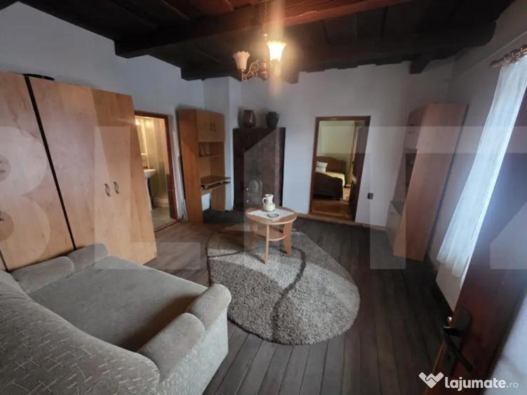 Vila/Pensiune rustica - 11