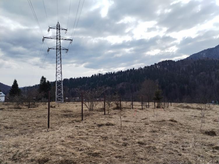 Teren intravilan cartier Cumpatu - 4