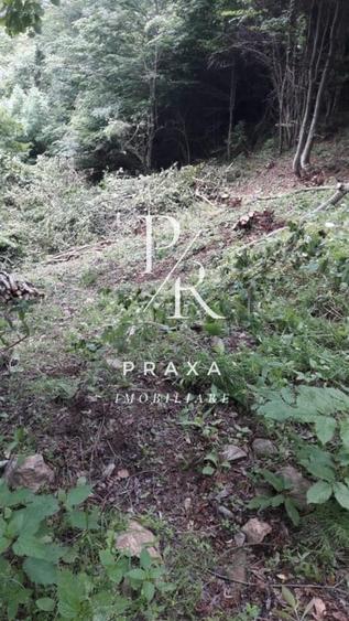 Teren de vanzare 10.000 mp/ parcelabil, cu utiitati, 4 euro/ mp! Maguri Racatau! - 8