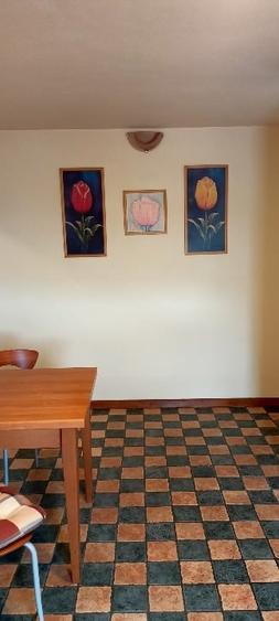 Proprietar,ofer spre inchiriere apartament 3 camere mobilat si utilat - 2