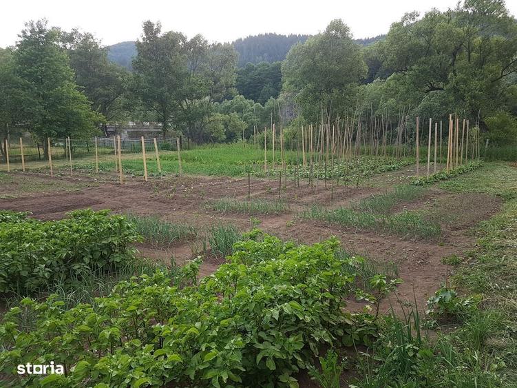 Casa batraneasca din barne cu teren la Mures - 5