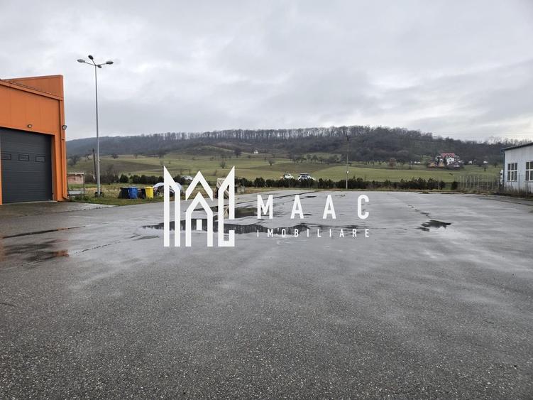 Imobil industrial I 448 mp I Teren 12.000 mp I Bradu I De Inchiriat - 2