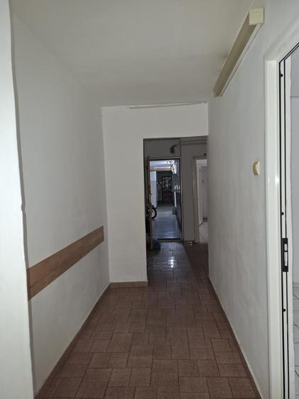 Crangasi - Ceahlăul cu balcon mare  si beci! - 11