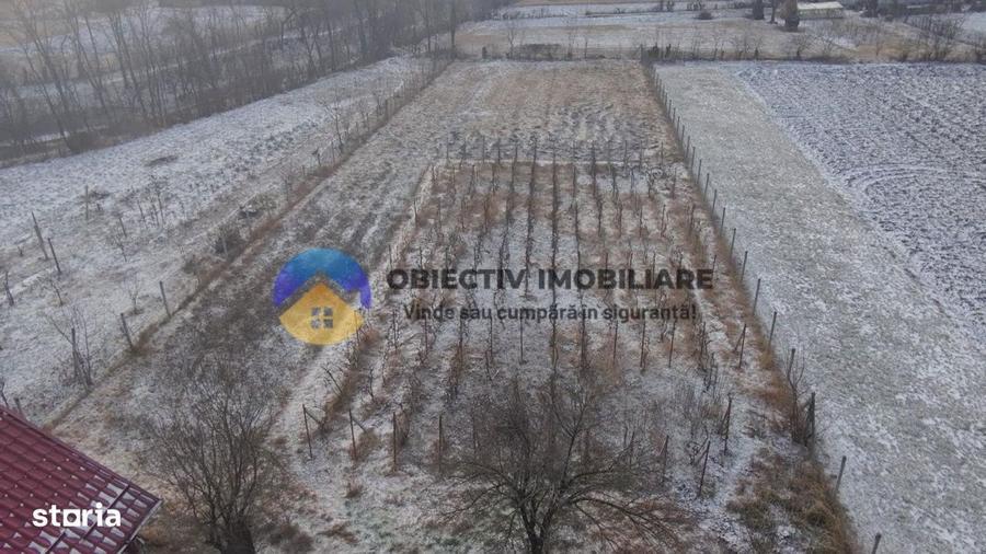 Casa batraneasca + teren 2089 mp , Slobozia - Roznov, jud. Neamt - 9