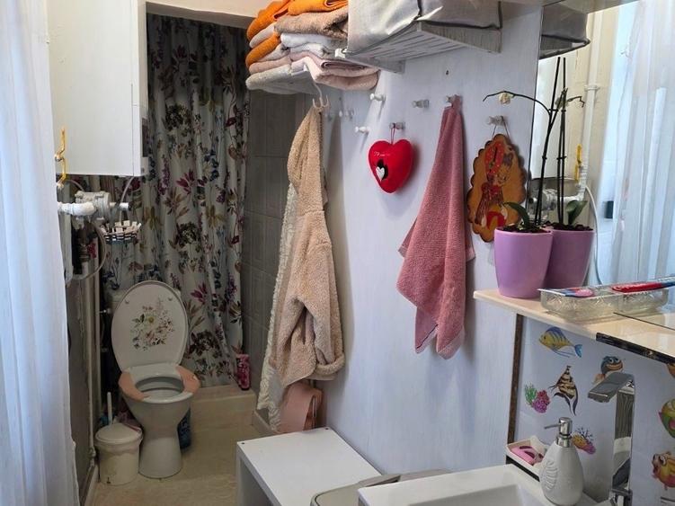 Iancului, Ferdinand, 5 minute metrou, chiar pe Titu Maiorescu, - 14