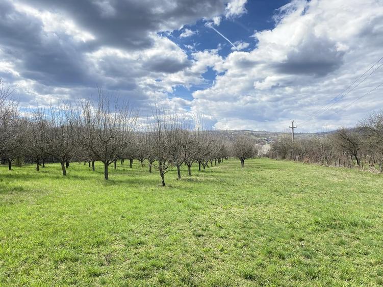 Berevoesti, Arges - 10