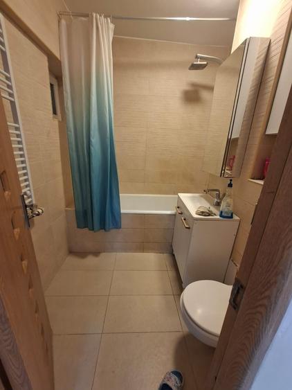 Colentina, Rau, stradal, vav Mc. Donald' s, Parc Plumbuita - 2